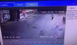 鱼爆料的视频大全集,揭秘娱乐圈幕后真相